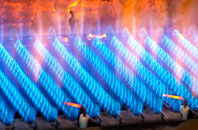 Hallin gas fired boilers